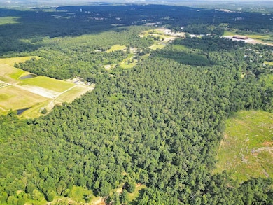 10114 C R 272, Tyler, TX 75707 - photo 4