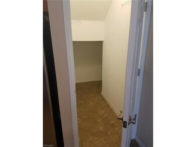 Downstairs storage closet that leads under stairca