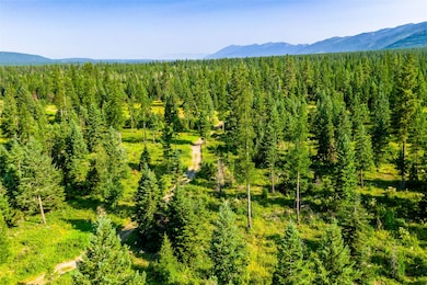 Forest with open grasslands