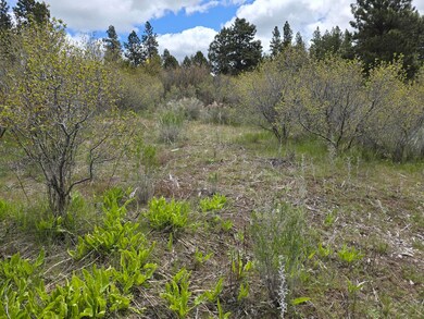 0 Tl 3507-018ab-04400 unit 220181598, Chiloquin, OR 97624 - photo 2