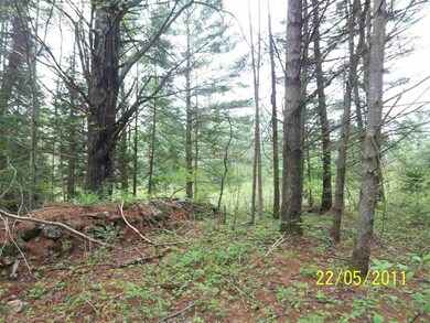 0 Granite Rd unit 106 4769133, Effingham, NH 03882 - photo 7