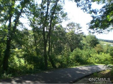 22 Goughes Branch Rd, Leicester, NC 28748 - photo 3