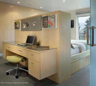 205 E Durant Ave unit 3H, Aspen, CO 81611 - photo 7