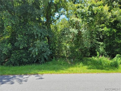 1664 E Saint James Loop, Inverness, FL 34453 - photo 7