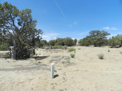 6601 Big Cedar Ave, Farmington, NM 87402 - photo 2