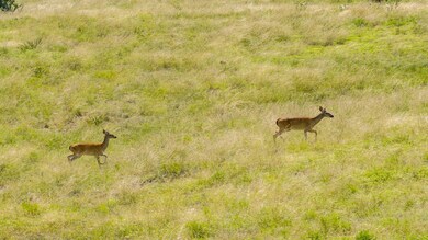Lot 19 Overhill Dr unit 19, Fredericksburg, TX 78624 - photo 5