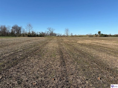 161 Owl Creek Dr, Vine Grove, KY 40175 - photo 3