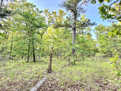 0 Ln, Heavener, OK 74937 - photo 5