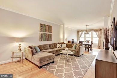 8704 Timber Oak Ln, Laurel, MD 20723 - photo 6