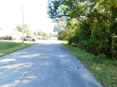 0 SE 135th Ln unit MFRTB8455385, Belleview, FL 34420 - photo 5