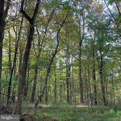 0 Mountain Ridge Way unit VACU2004116, Culpeper, VA 22701 - photo 4