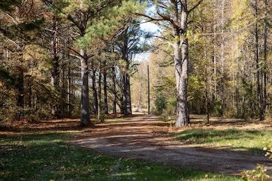 14285 Mississippi 503, Decatur, MS 39327 - photo 7