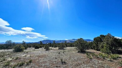 4402 Bear Creek Cir, South Fork, CO 81154 - photo 6