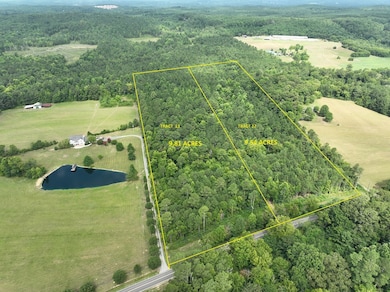 Tract 13 Mount Pleasant Rd, Dalton, GA 30721 - photo 7