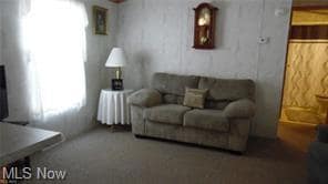 80 Zero St unit 32, Coshocton, OH 43812 - photo 6