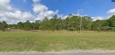 0 Commonwealth Ave N unit MFRO6264124, Polk City, FL 33868 - photo 2