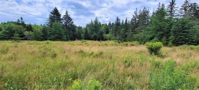 Field 2