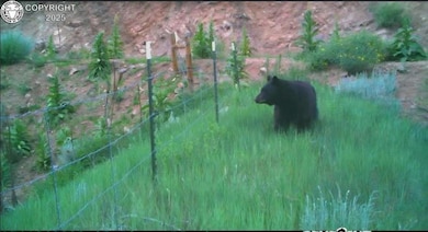 6179 County Road 84, Florence, CO 81226 - photo 4