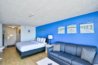 Sea Mist Resort- Driftwood unit 51012, Myrtle Beach, SC 29577 - photo 5