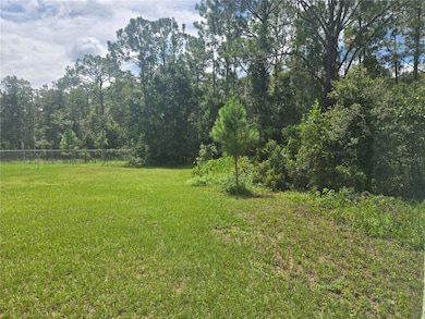 unlisted-address, Kissimmee, FL 34758 - photo 3