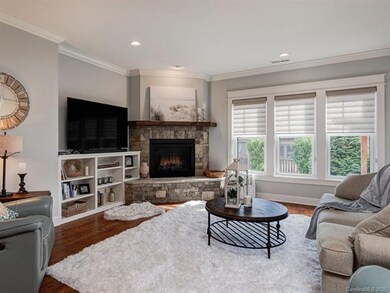 20 Stills Creek Loop, Fairview, NC 28730 - photo 7