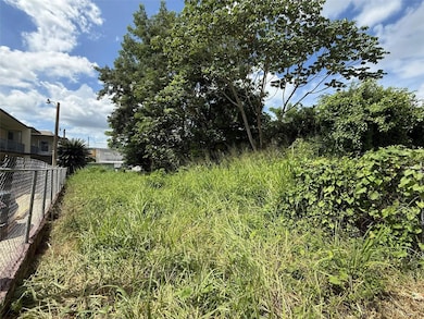 0 Hostos Cabrera St, San Sebastian, PR 00685 - photo 4