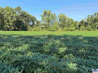 16100 +/- S All, Pimento, IN 47866 - photo 2