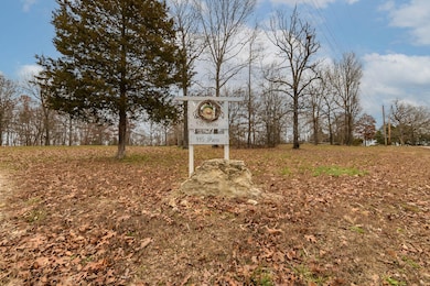 435TriggerCoveRdKirbyville-78