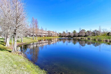 The normal pond view behind the building.