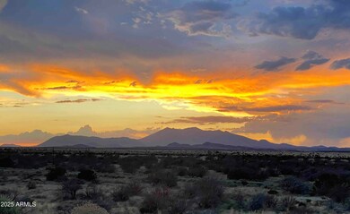 6515 Meadows Ln, Flagstaff, AZ 86004 - photo 7