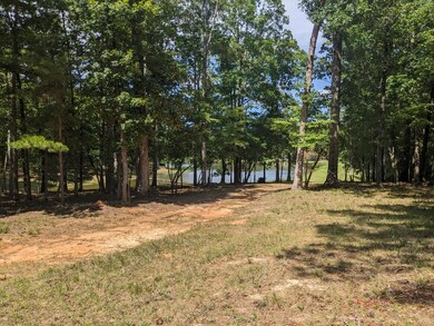 000 Water View Dr, Lincolnton, GA 30817 - photo 7