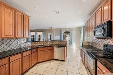 24602 Alamosa Falls, San Antonio, TX 78255 - photo 3