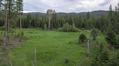 30632 Carney Creek Rd, Big Fork, MT 59911 - photo 4
