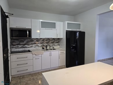 495 Cerro Gordo, Moca, PR 00676 - photo 4