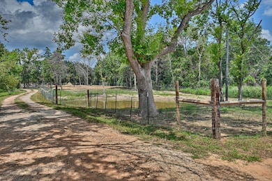 2612 Tiemann Rd, New Ulm, TX 78950 - photo 4