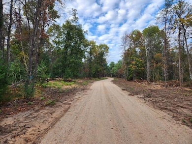 Parcel I Tatanka Trail, Baldwin, MI 49304 - photo 2