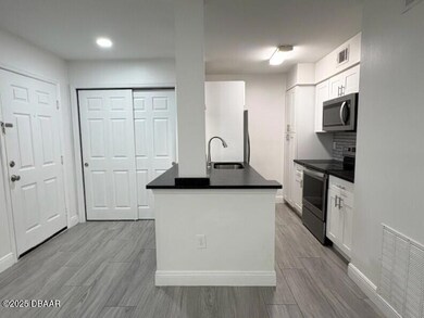 1401 S Palmetto Ave unit 203, Daytona Beach, FL 32114 - photo 4