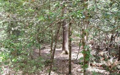 Additional View