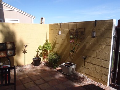 Back Patio