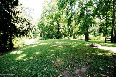 IMG_0101