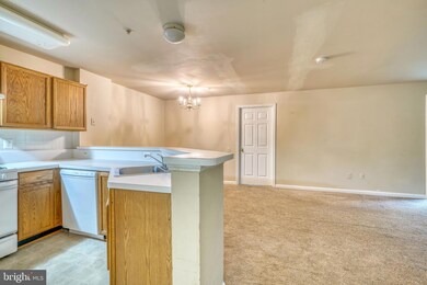 18801 Sparkling Water Dr unit 102, Germantown, MD 20874 - photo 6