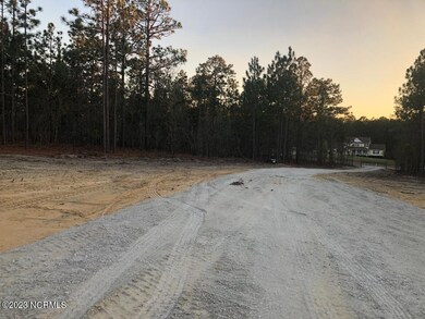 Ledbetter Land Pic- Driveway
