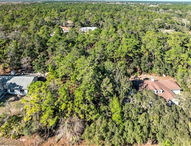 9003 Glenarm Way, Weeki Wachee, FL 34613 - photo 3