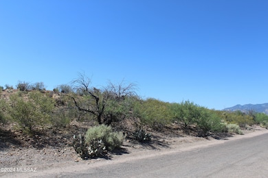 Lot484 - 4