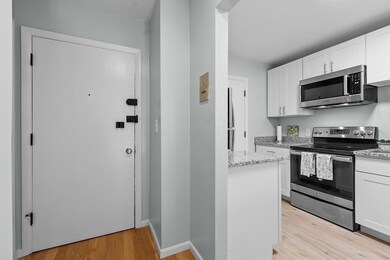 29 Custer St unit 201, Jamaica Plain, MA 02130 - photo 2