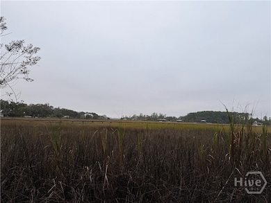 209 Battery Way, Whitemarsh Island, GA 31410 - photo 7