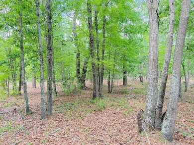 Tbd Hwy 19 unit LotWP001, Nichols, SC 29581 - photo 6