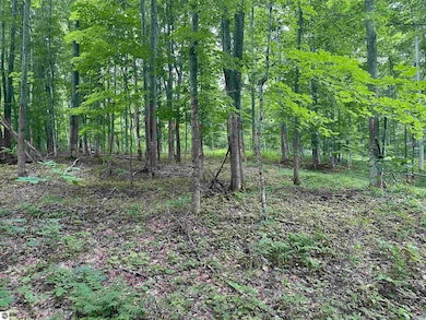 11605 S Tower Rd unit 5, Kasson Township, MI 49664 - photo 4