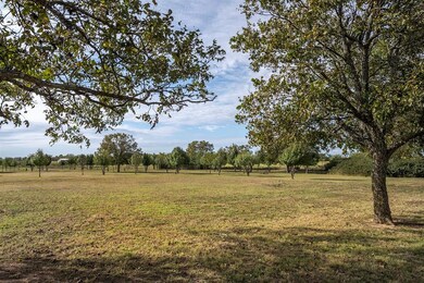 119 Moss Ln, Weatherford, TX 76088 - photo 7