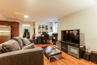 515 Green St unit 7, Cambridge, MA 02139 - photo 4